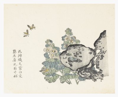Jardim de sementes de mostarda de Chinese School