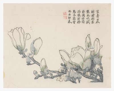Jardim de sementes de mostarda de Chinese School