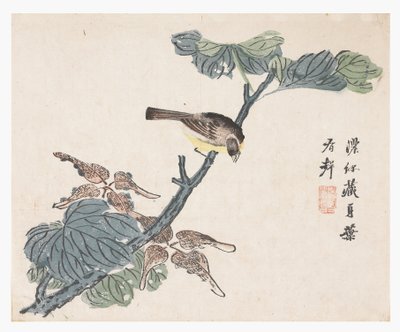 Jardim de sementes de mostarda de Chinese School