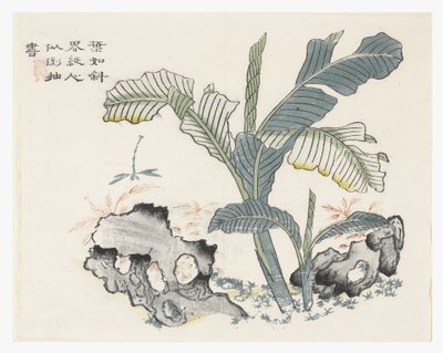 Jardim de Sementes de Mostarda de Chinese School