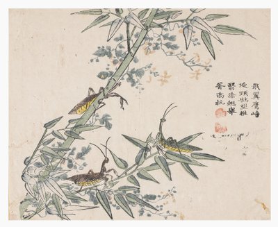 Jardim de Sementes de Mostarda de Chinese School