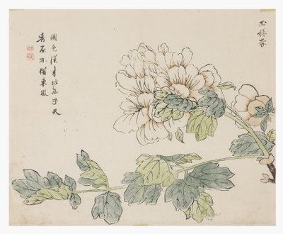 Jardim de Sementes de Mostarda de Chinese School