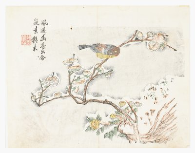 Jardim de Sementes de Mostarda de Chinese School