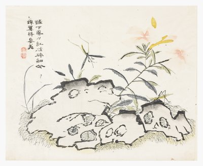 Jardim de Sementes de Mostarda de Chinese School