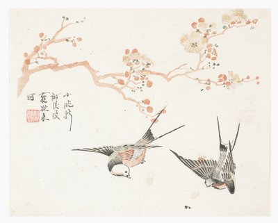 Jardim de Sementes de Mostarda de Chinese School