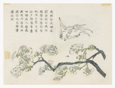 Jardim de Sementes de Mostarda de Chinese School