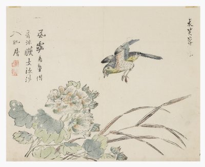Jardim de Sementes de Mostarda de Chinese School