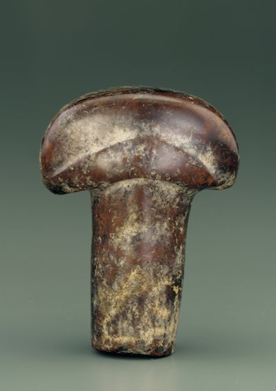 Objeto em forma de haste oval encimada por botão semicircular espesso (serpentina) de Chinese School