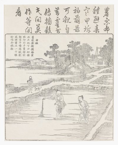 Semeando o arroz em uma cama de sementes., Século 18 de Chinese School