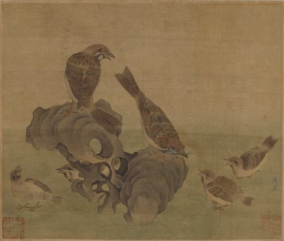 Pardais alimentando seus jovens, dinastias Ming ou Qing de Chinese School
