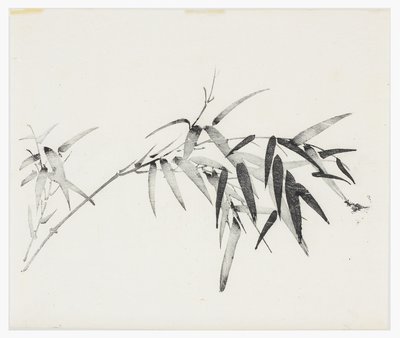 Ten Bamboo Series, século 18 de Chinese School