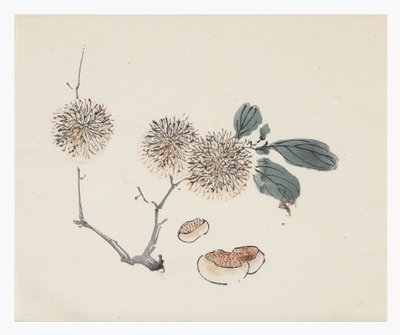 Ten Bamboo Series, século 18 de Chinese School