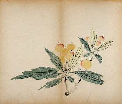 Dez estampas de estúdio de bambu, 1643 (xilogravura) de Chinese School