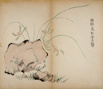 Dez estampas de estúdio de bambu, 1643 (xilogravura) de Chinese School