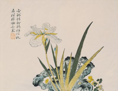 O jardim tão grande quanto um grão de mostarda, do século XVII ao XVIII de Chinese School