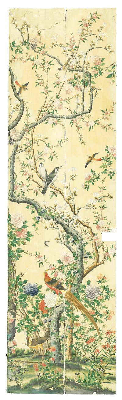 Imagem desconhecida de Chinese School