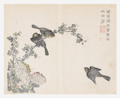 Jardim de Sementes de Mostarda de Ching-yu Chiu
