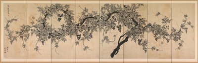 Videira de Choe Seok hwan