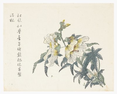 Jardim de Sementes de Mostarda de Chou Huang (after)