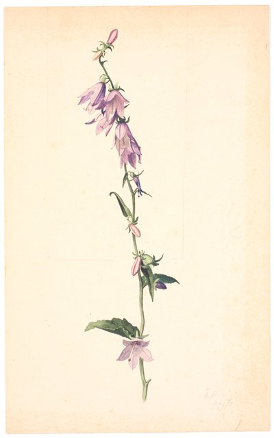 Campânula de Christen Dalsgaard