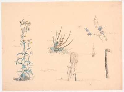 Estudos de plantas. Uma ponte de balneário e um navio de Christen Dalsgaard
