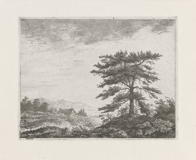 Árvore em uma paisagem de charneca de Christiaan Wilhelmus Moorrees