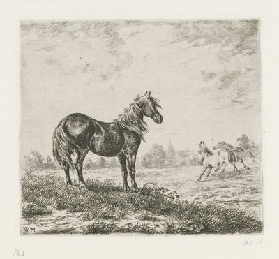 Paisagem com três cavalos de Christiaan Wilhelmus Moorrees