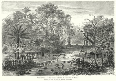 Caminho através das selvas de Zulia, Venezuela (litho) de Christian Anton Goering