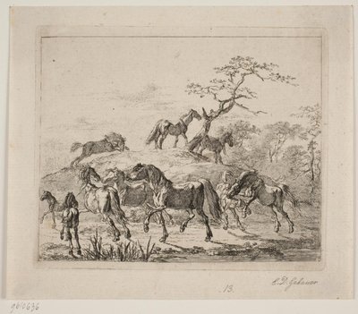 Cavalo de garanhão de Christian David Gebauer