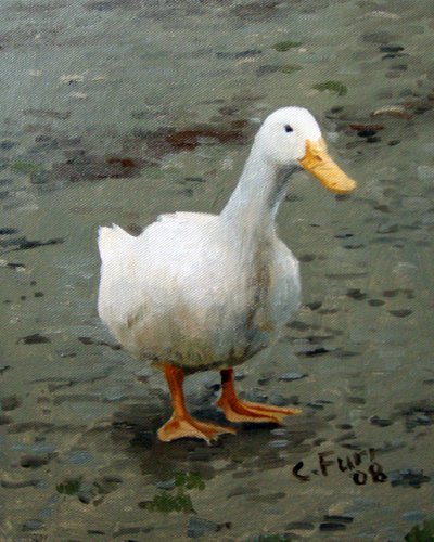 Ganso, 2006 (óleo sobre tela) de Christian Furr