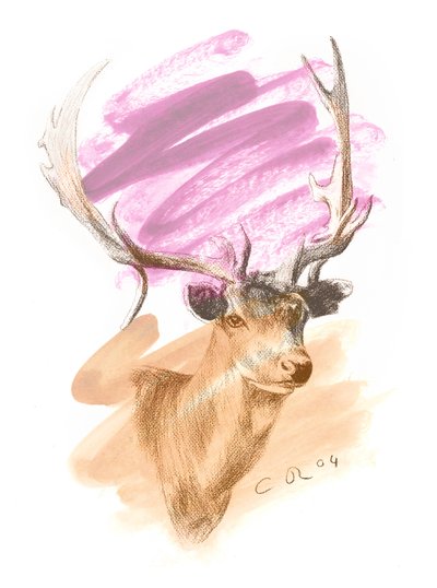 Cabeça de veado - Cerise Sienna, 2004 (óleo e conte sobre papel) de Christian Furr