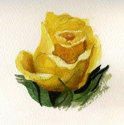 Rosa Amarela, 2009 (aguarela sobre papel) de Christian Furr