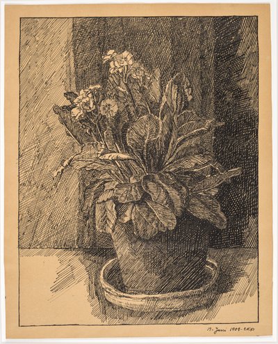 vaso de flores com prímula de Christian Kongstad Petersen