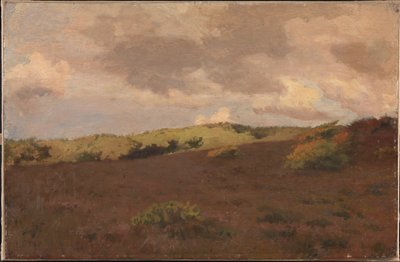 Paisagem da charneca. Cair de Christian Mourier Petersen