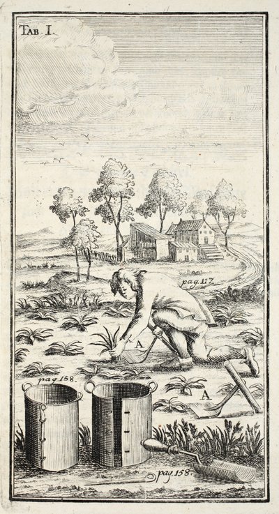 Jardineiro Colheita, pub. Erfurt na Turíngia, 1753-55 de Christian Reicharts