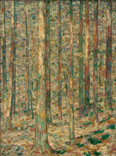 Troncos de pinheiro à luz do sol de Christian Rohlfs