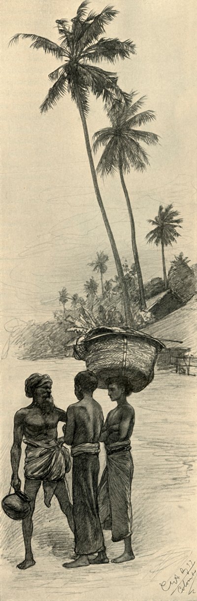 Grupo de homens, Colombo, Ceilão, 1898. de Christian Wilhelm Allers