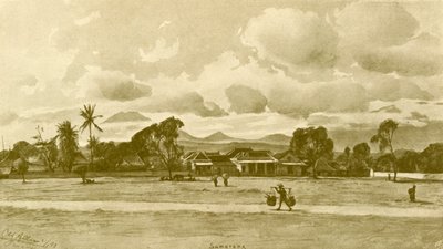 Floresta. de Christian Wilhelm Allers