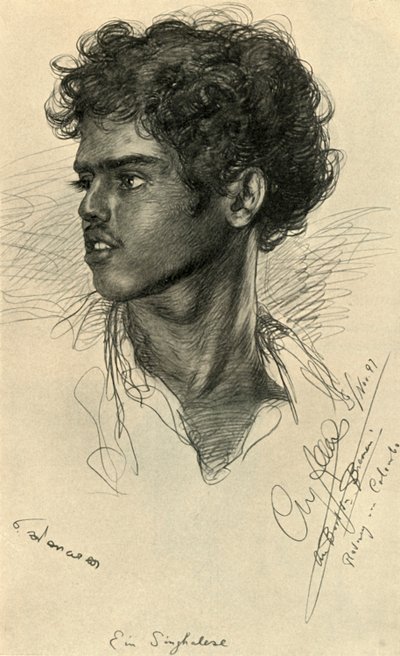 Floresta. de Christian Wilhelm Allers