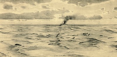 Navio a vapor no Oceano Índico, 1898. de Christian Wilhelm Allers