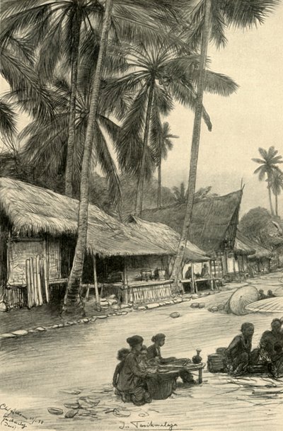 Floresta. de Christian Wilhelm Allers