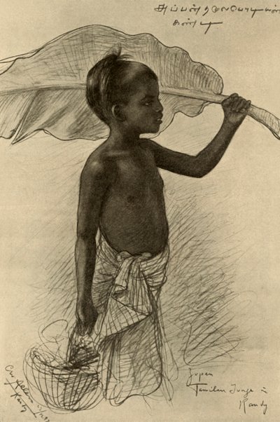 Menino tâmil, Kandy, Ceilão, 1898. de Christian Wilhelm Allers