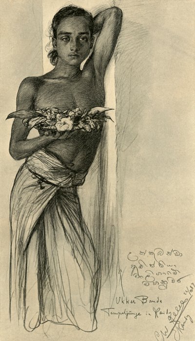Floresta. de Christian Wilhelm Allers