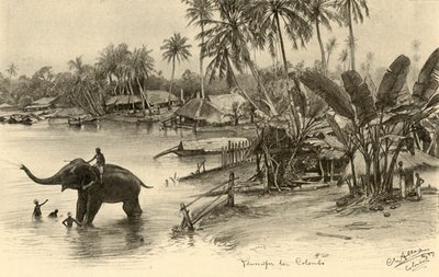 Lavando um elefante no rio, Colombo, Ceilão, 1898. de Christian Wilhelm Allers