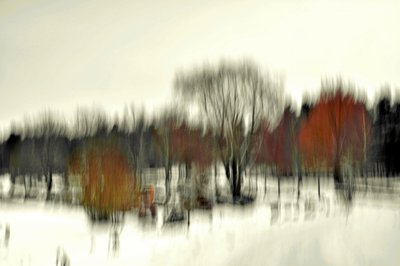 Resumo: Floresta de Inverno de Christina Sillen