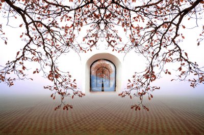 Arco de outono de sonho de Christina Sillen
