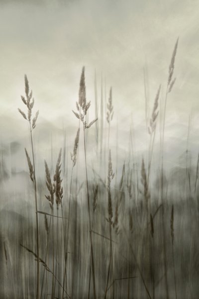  de Christina Sillen