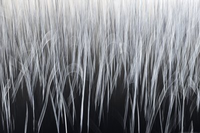 Linhas verticais etéreas de Christina Sillen