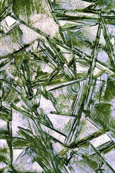 Gelo Verde Fracturado de Christina Sillen
