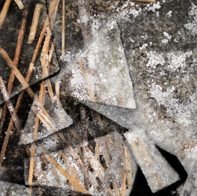 Juncos congelados e gelo de Christina Sillen